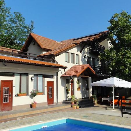 Vila Europa Sarata-Monteoru Ngoại thất bức ảnh