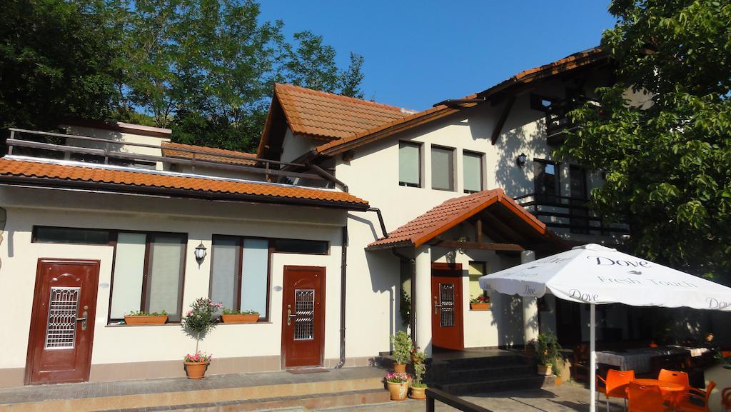 Vila Europa Sarata-Monteoru Ngoại thất bức ảnh